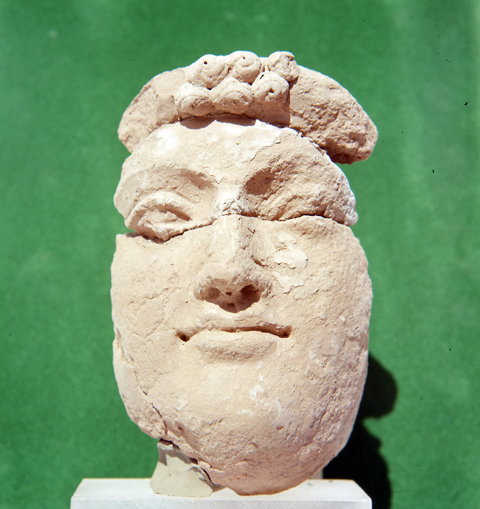 06 Female_head_with_curly_head_ _ts_1063