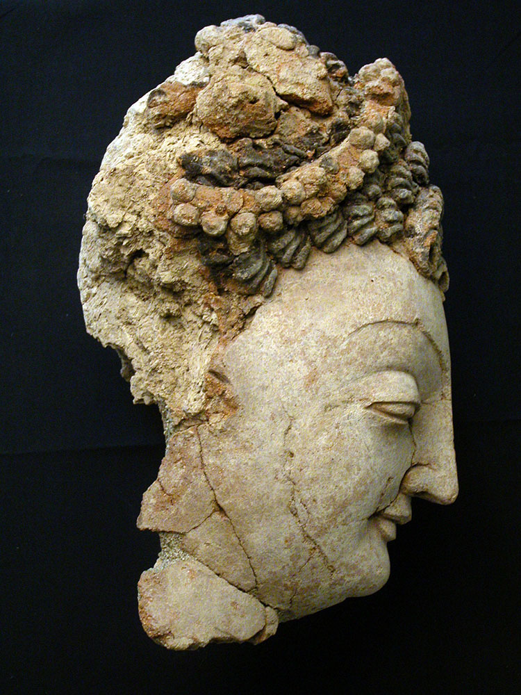 07 Head_of_a_bodhisattva_with_black_hair_bound_by_a_double_garland_from_vihara_17_ _ts_580