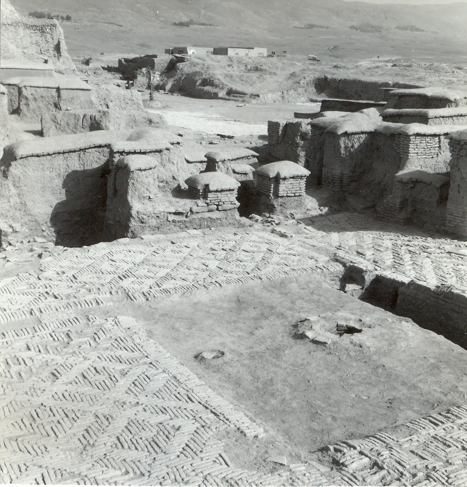1959_Neg2006_7