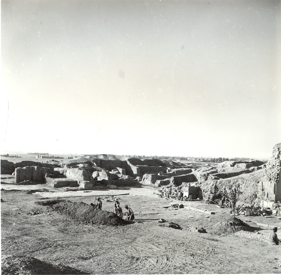 1959_Neg519_12