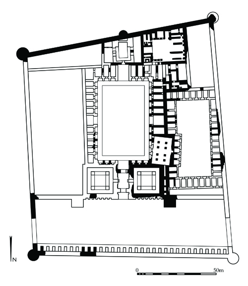 Pianta_carlotta_sett_2014bis