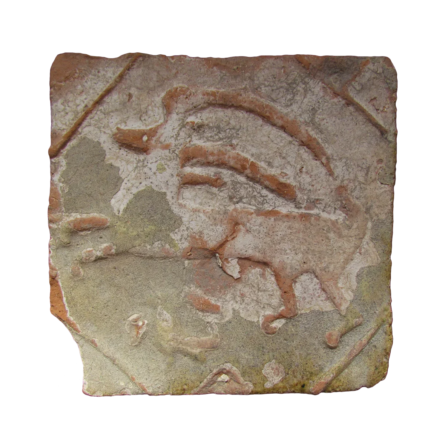Record image