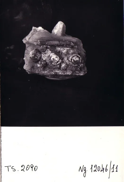 Record image