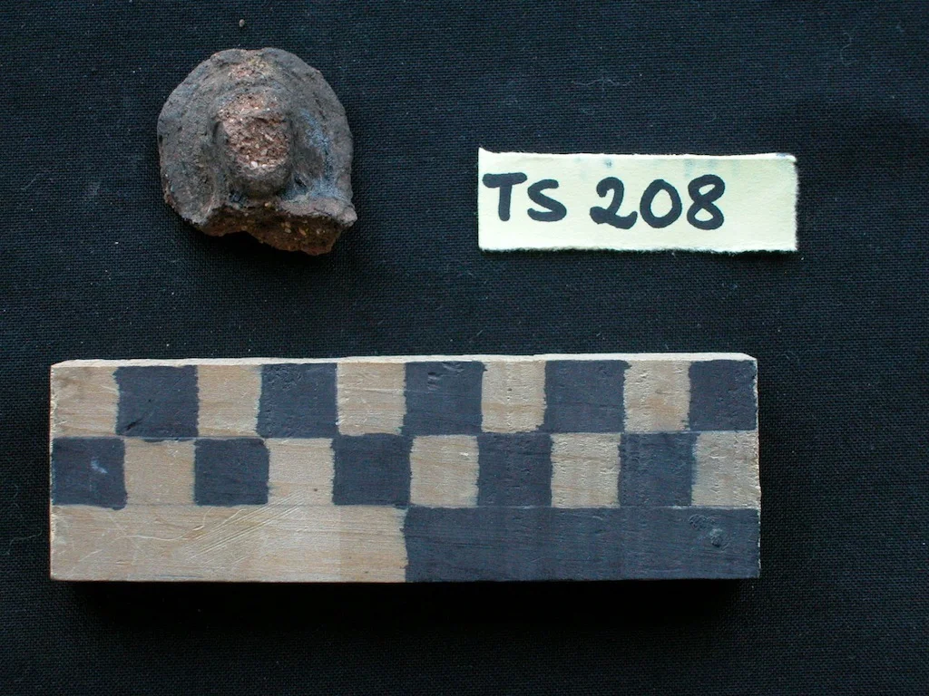 Record image