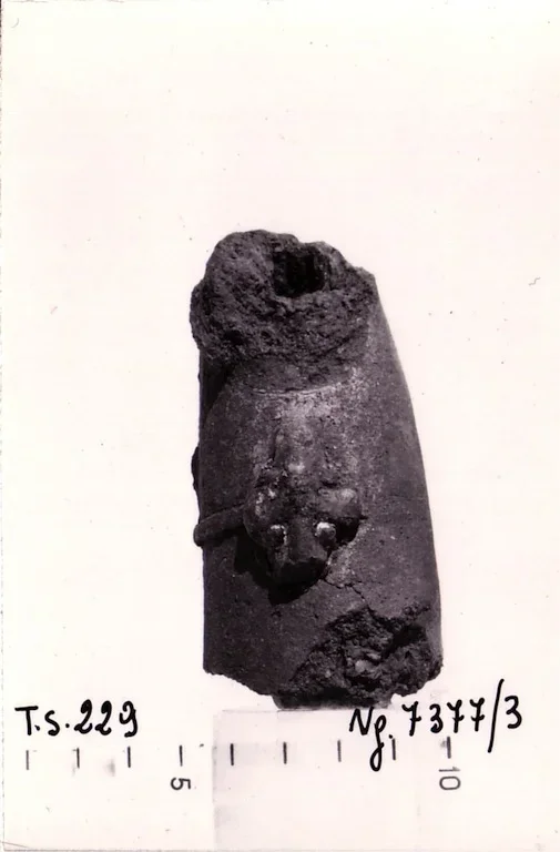 Record image