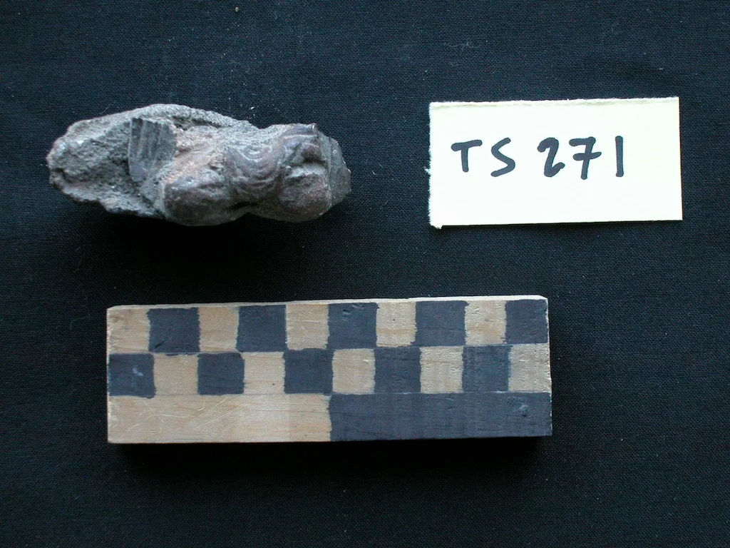 Record image