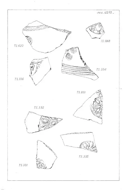 Record image