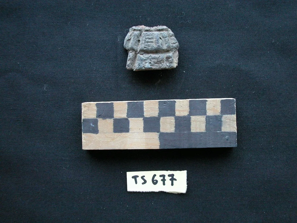040055(2004-fotoTS)(2)