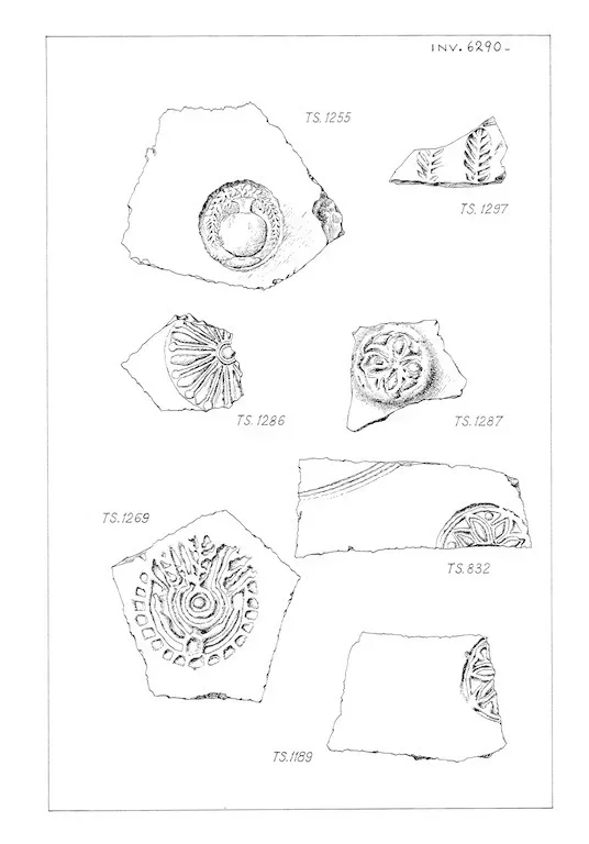 Record image