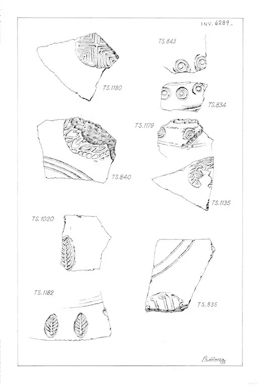 Record image