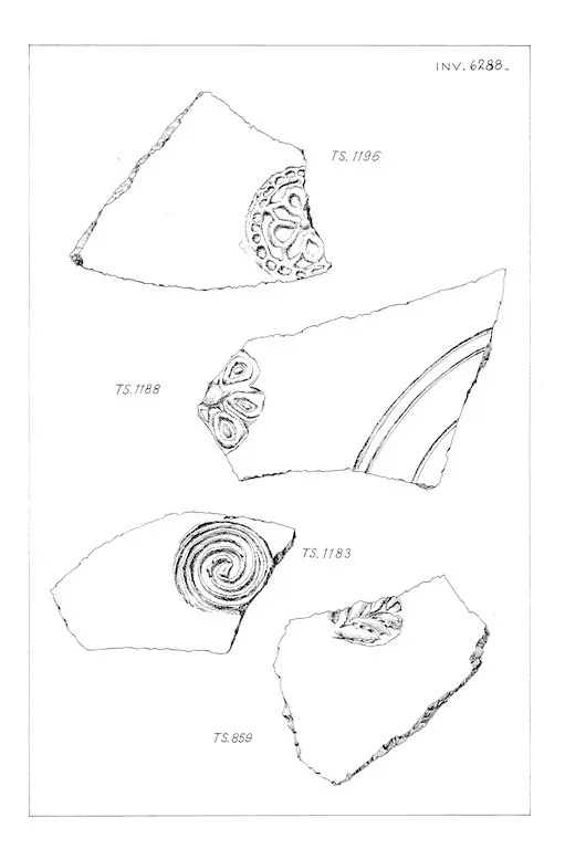 Record image