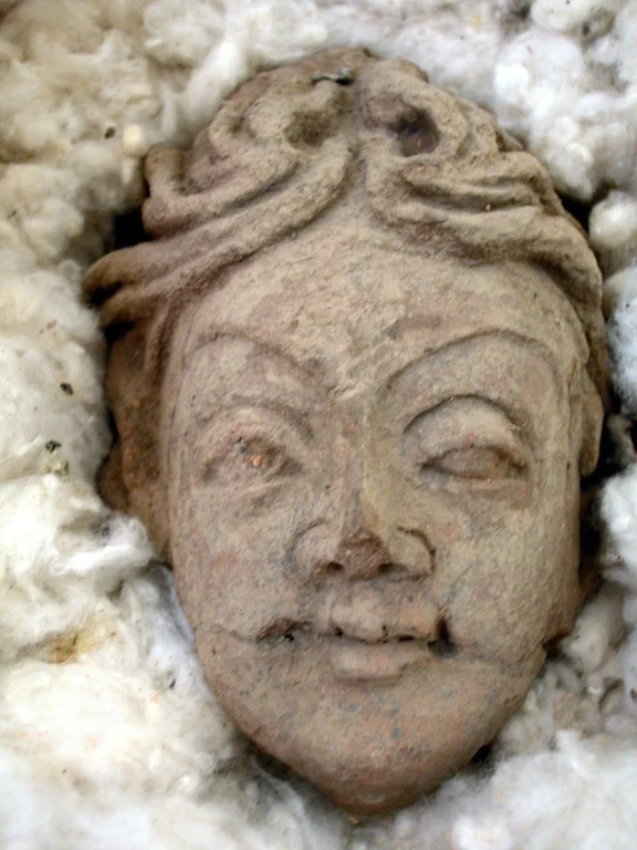 Record image