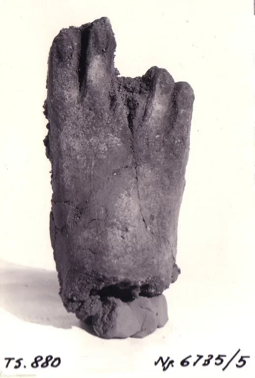 Record image