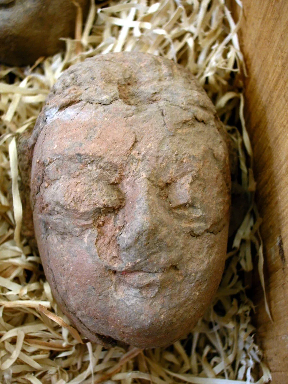 Record image