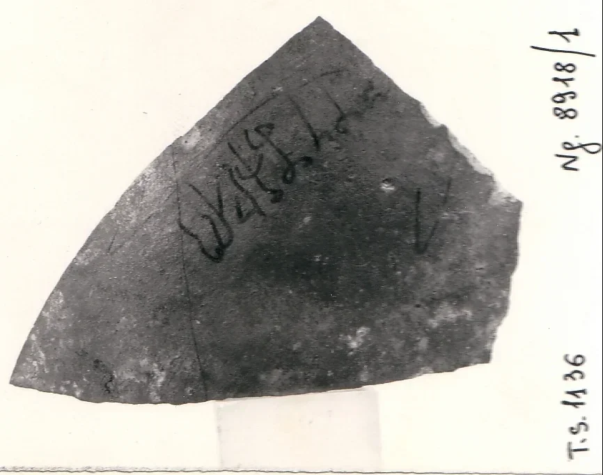 Record image