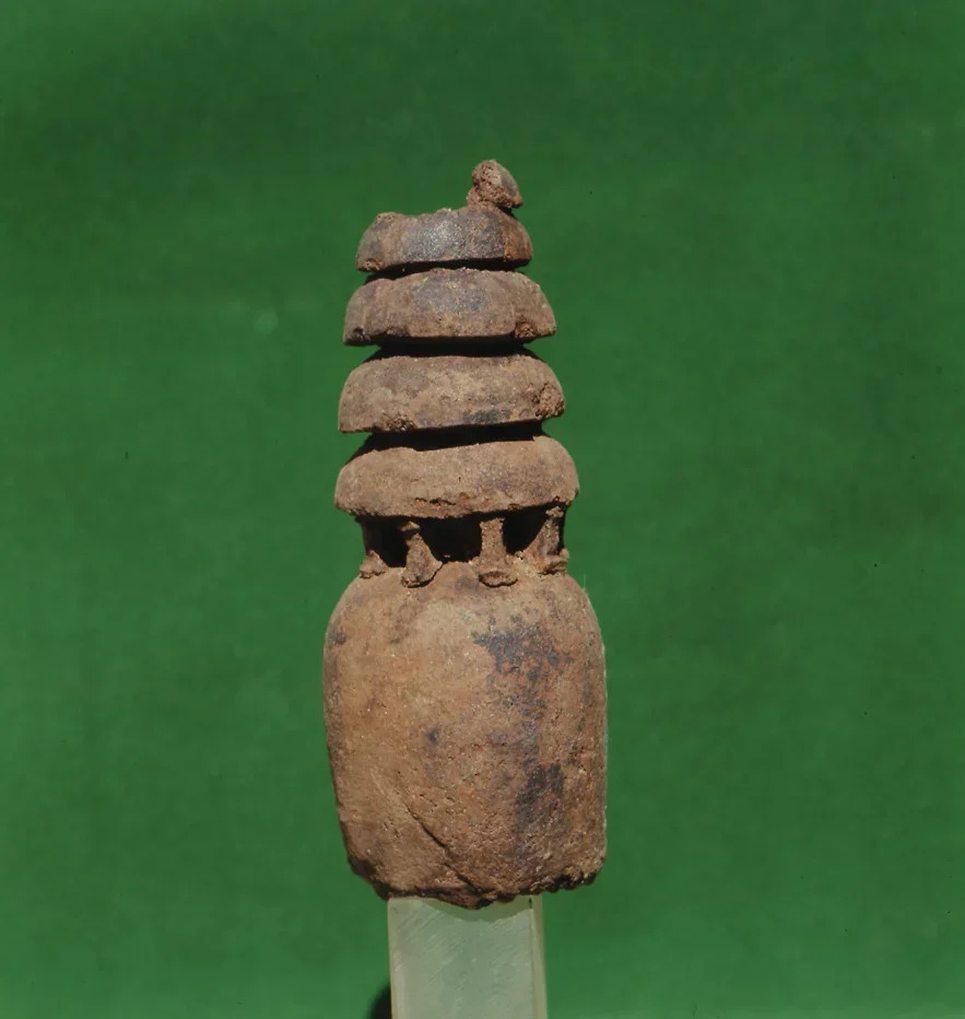 Record image
