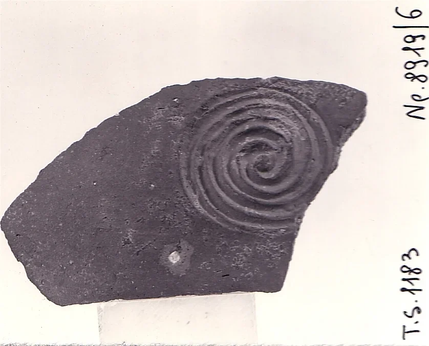 Record image
