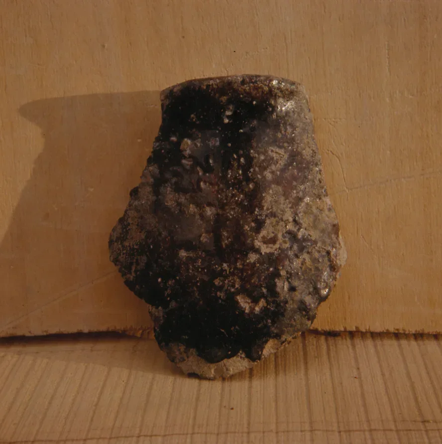 Record image