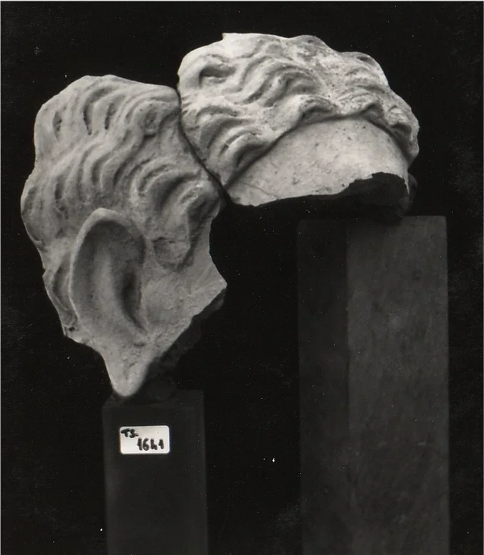 Record image