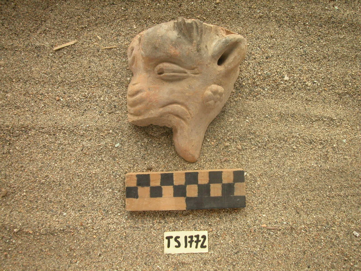 Record image