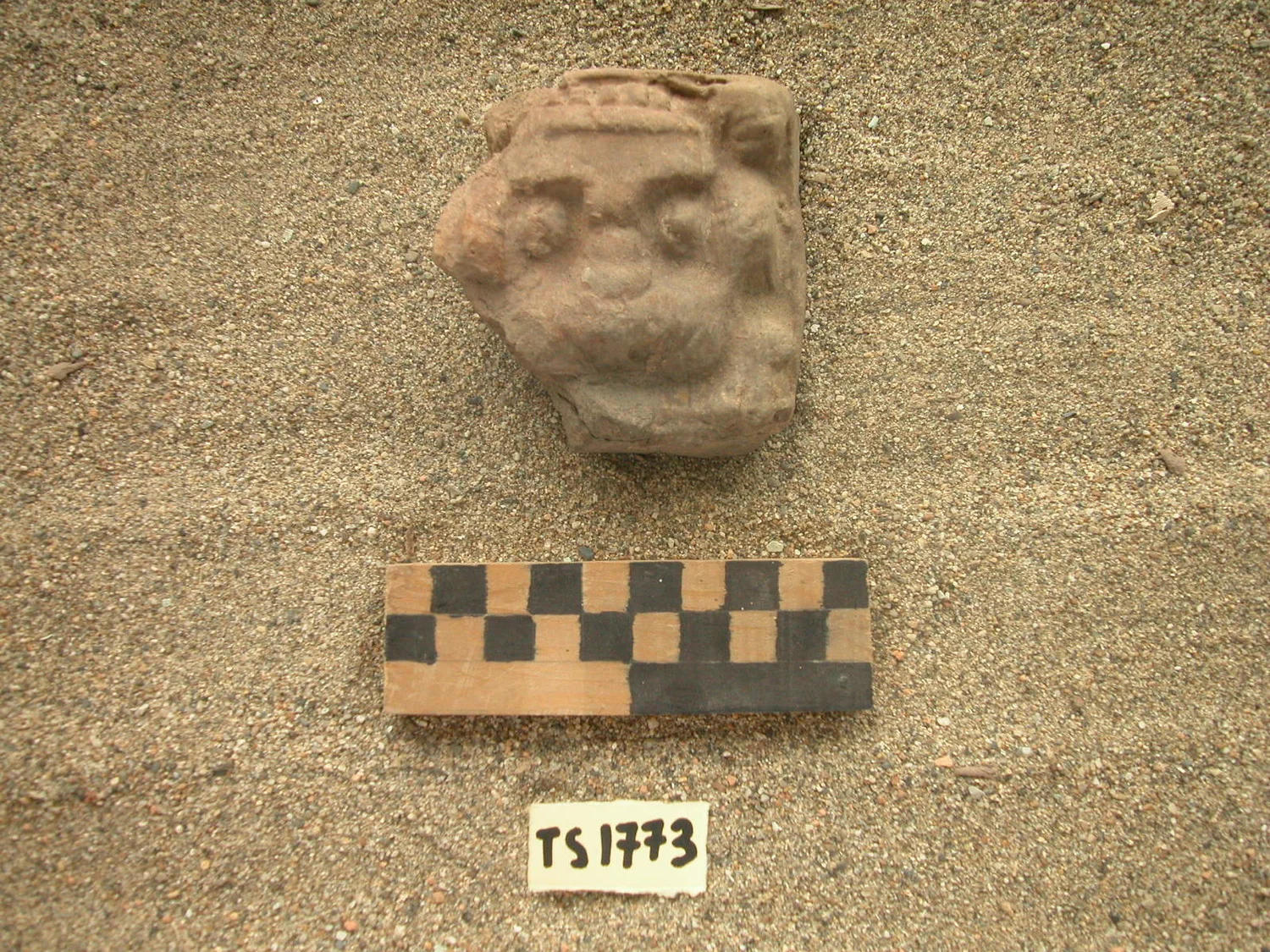 Record image
