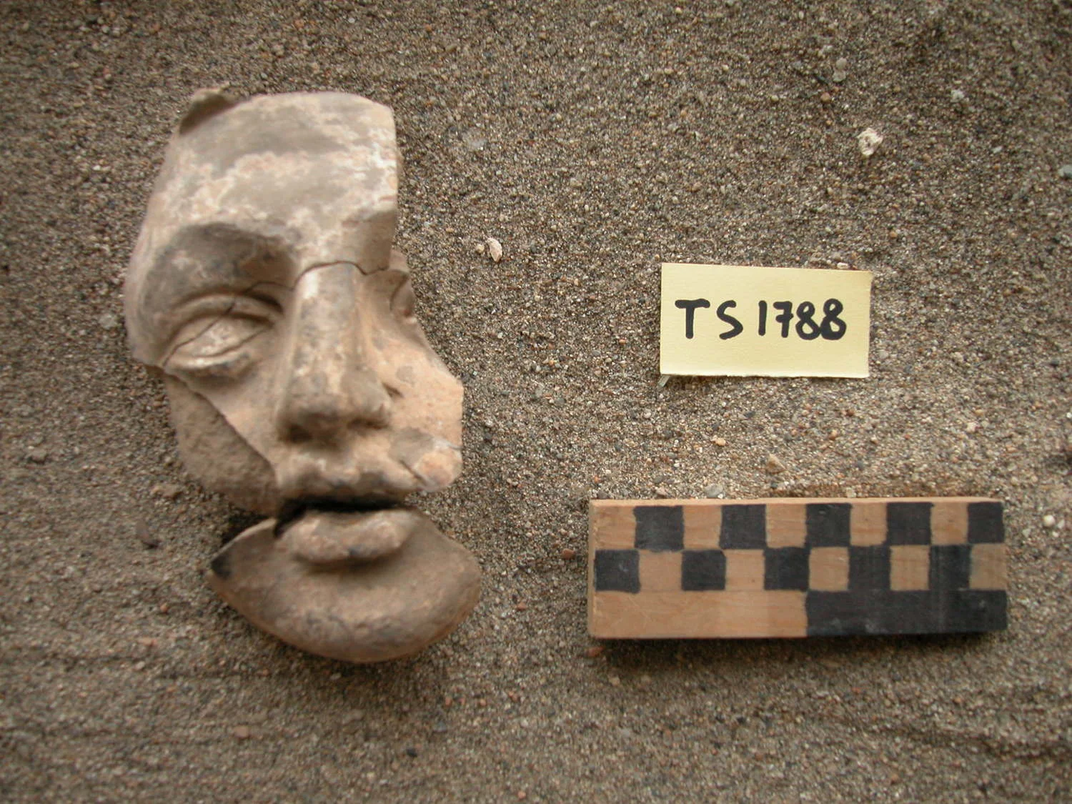 Record image