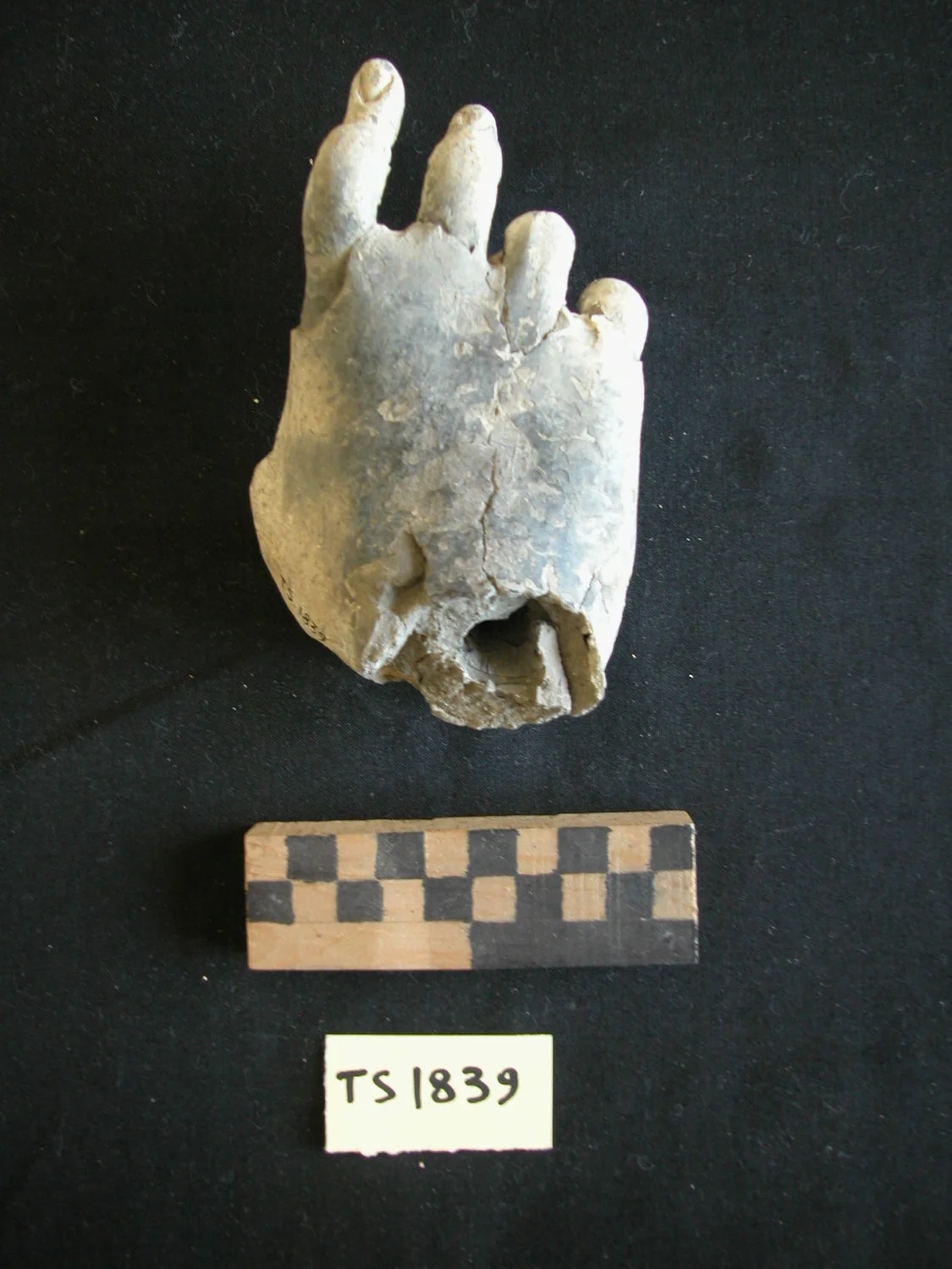 Record image