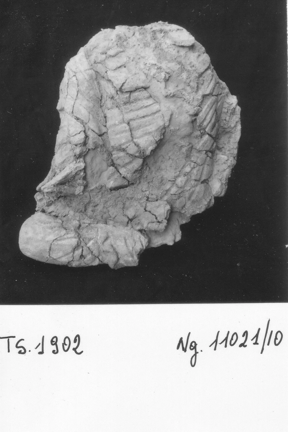 Record image