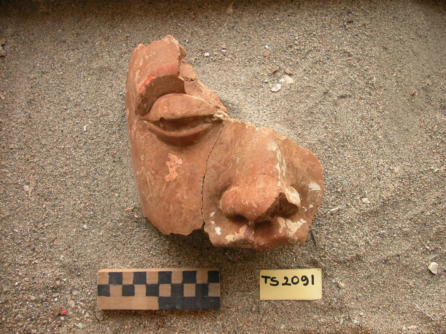 Record image