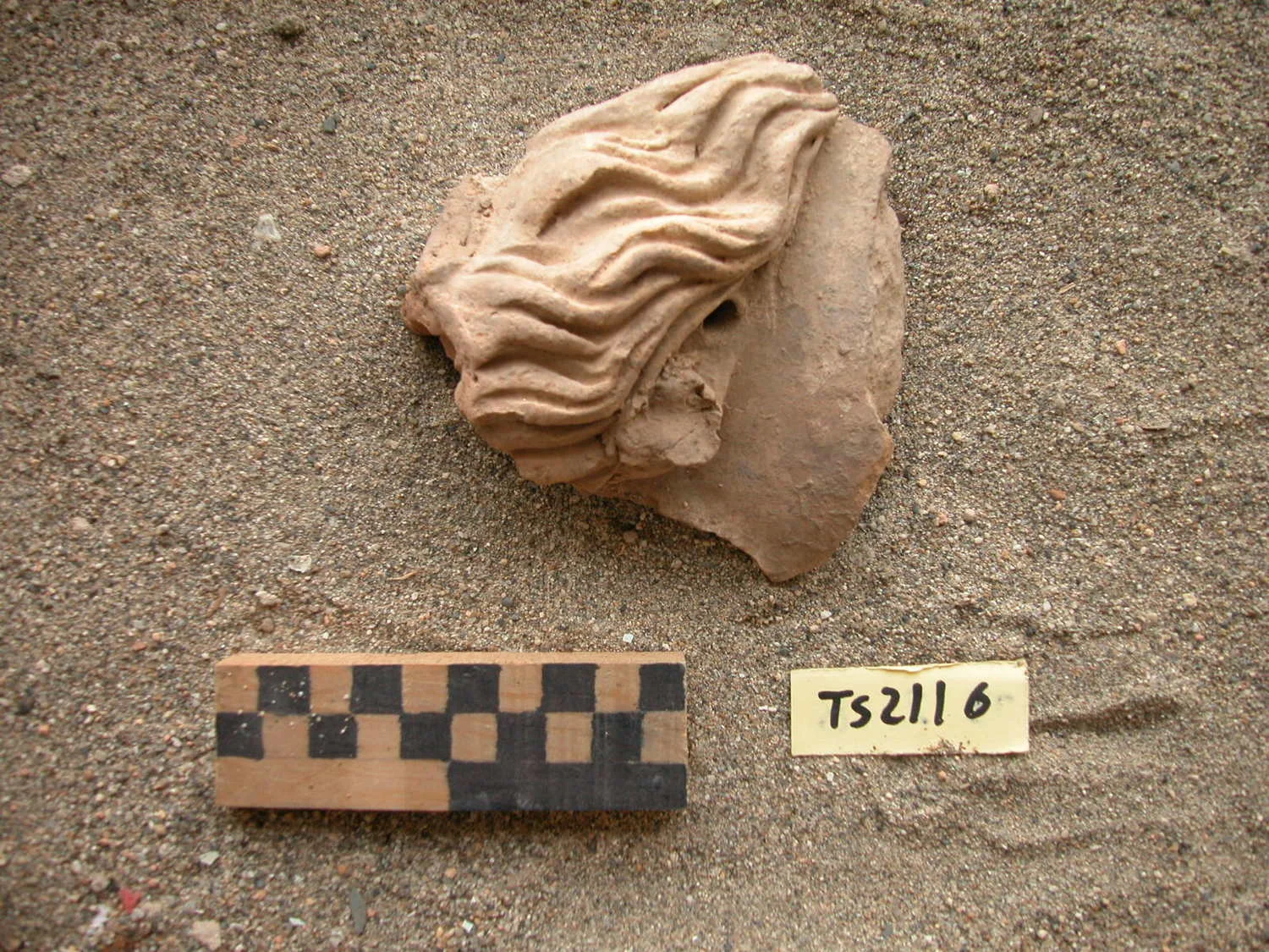 Record image