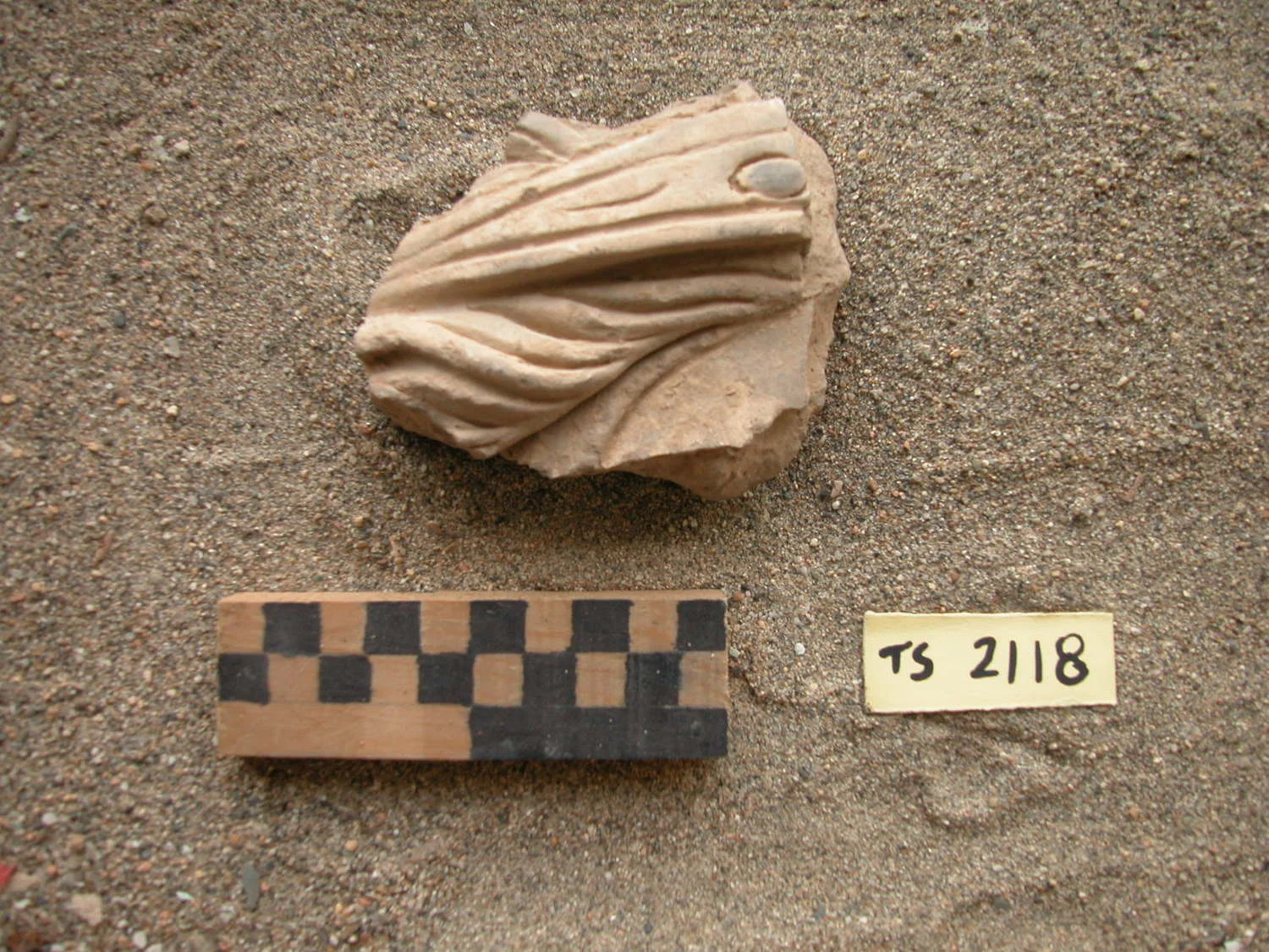 Record image