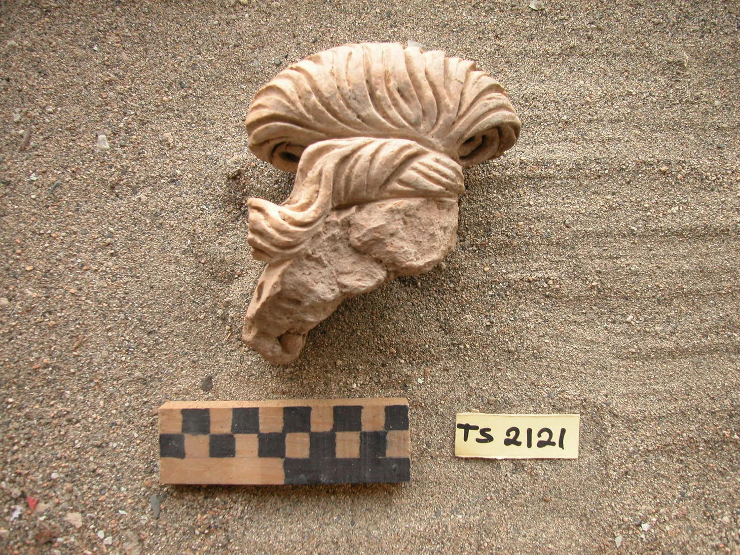 Record image