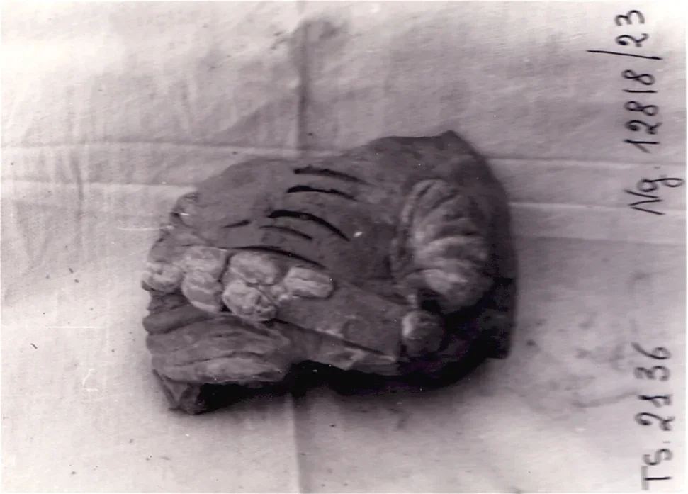 Record image
