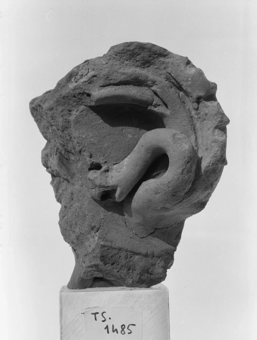 Record image