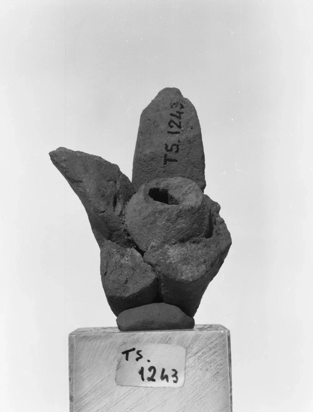 Record image