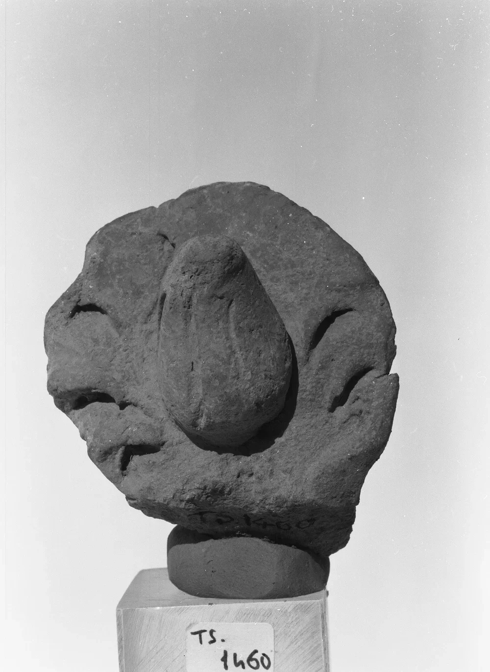 Record image