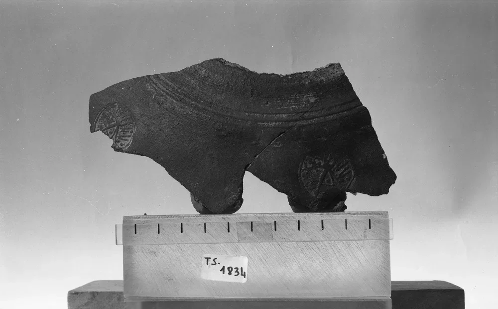 Record image