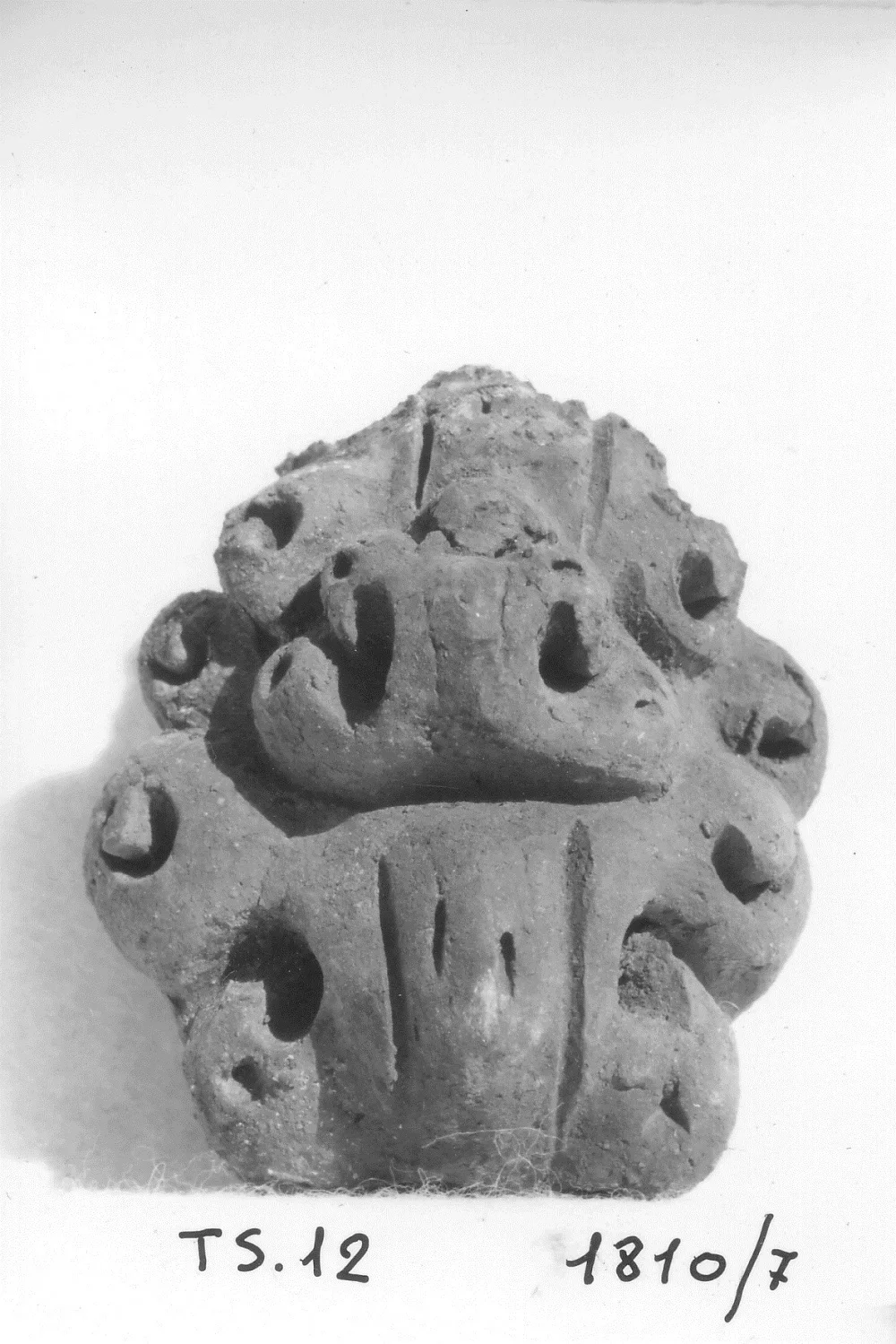 Record image