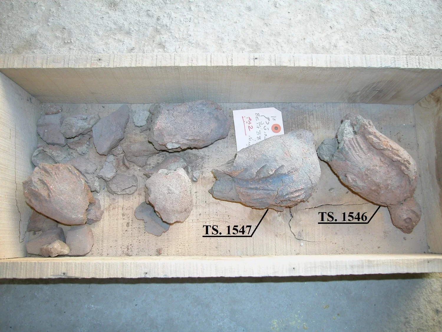 Record image