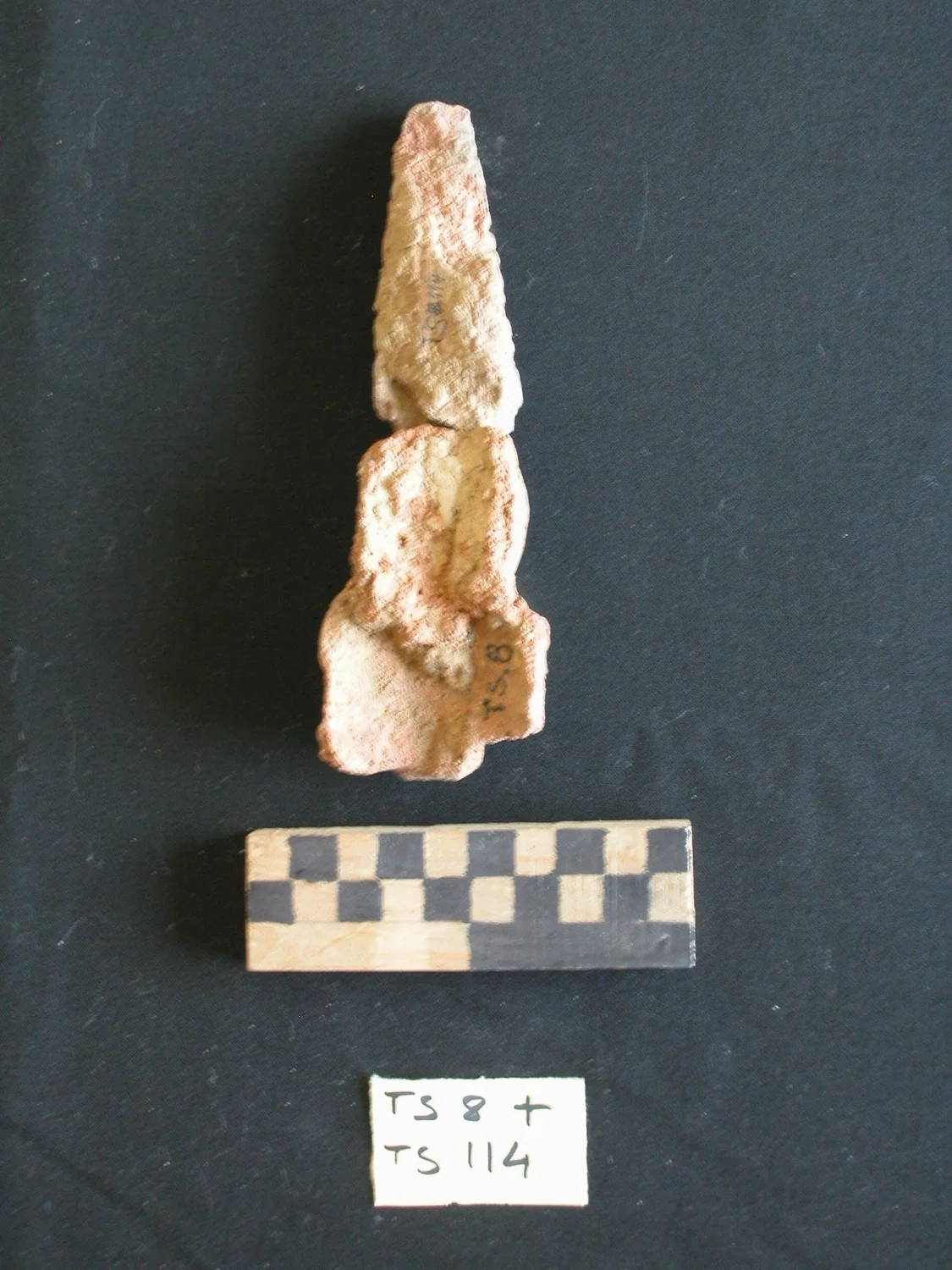 Record image