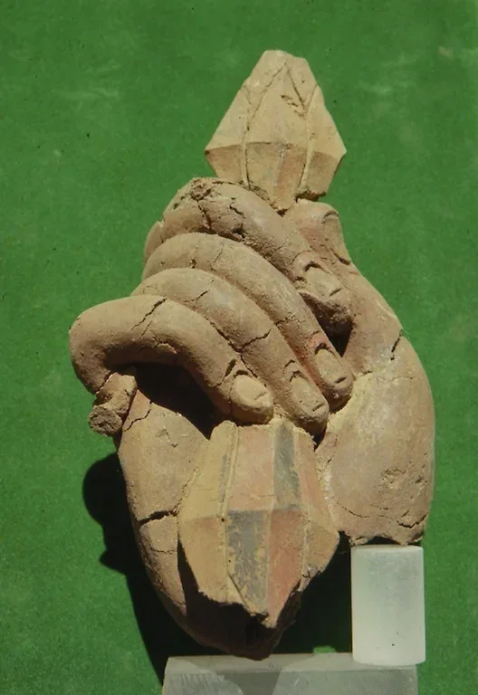 Record image
