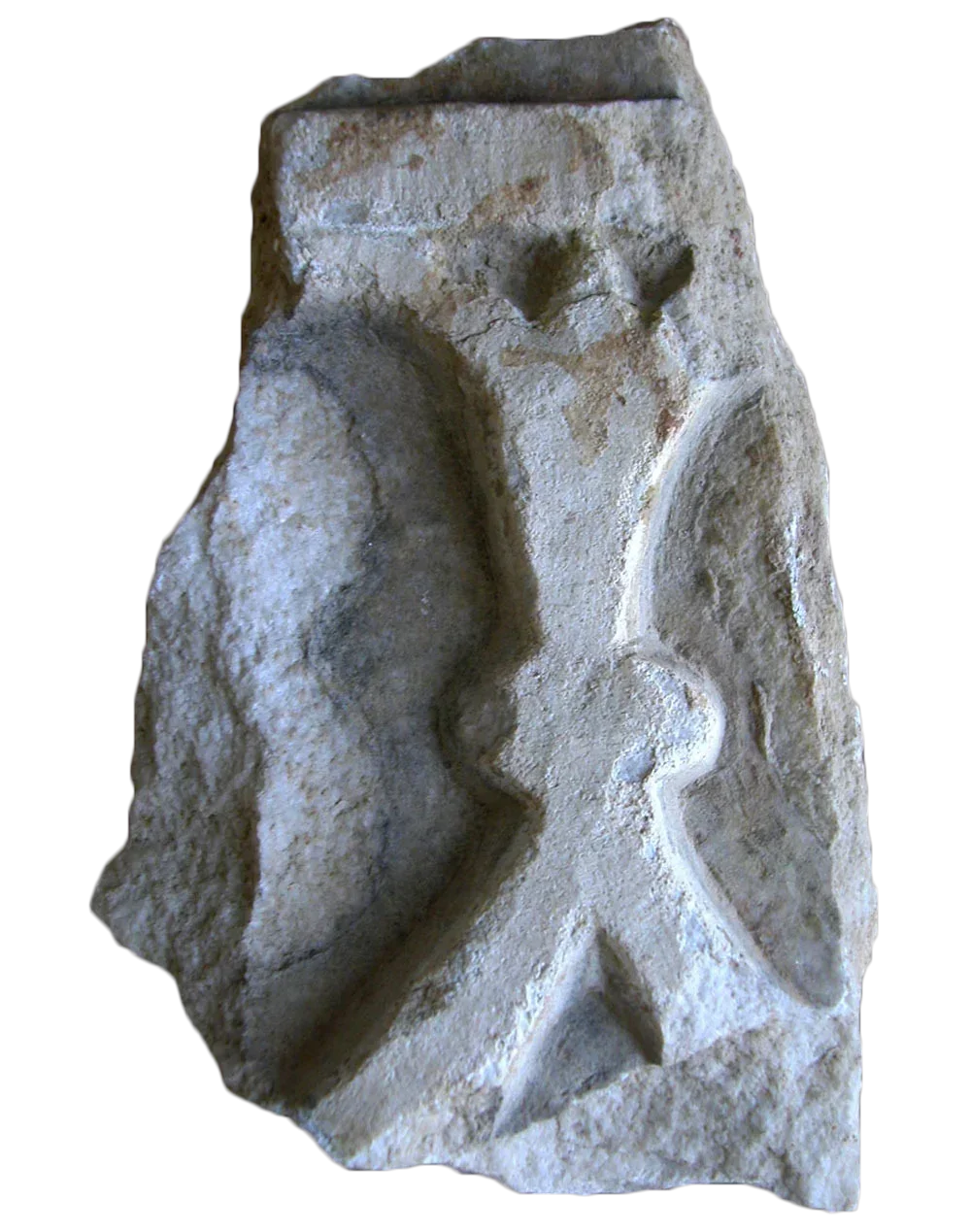 Record image