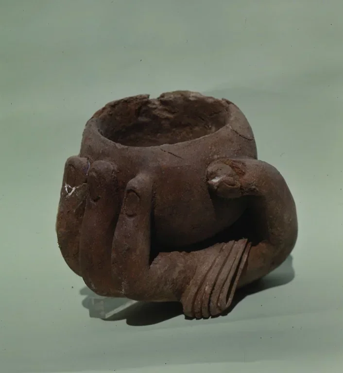 Record image