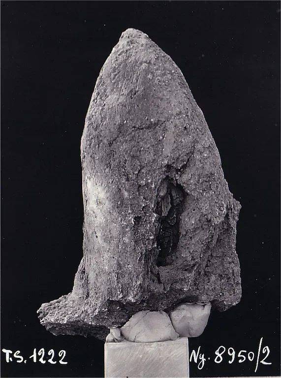 Record image
