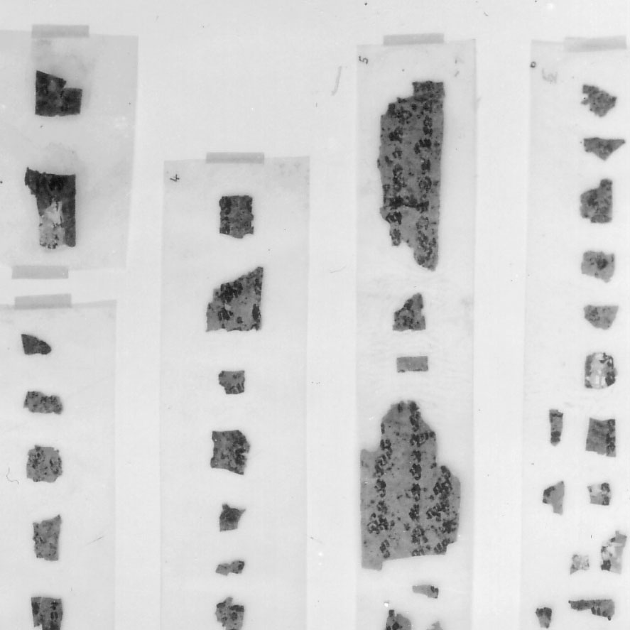 Manuscripts
